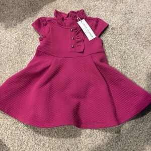 Janie and Jack NWT Fuchsia Quilted Dress Size 12-18 months